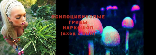 spice Володарск