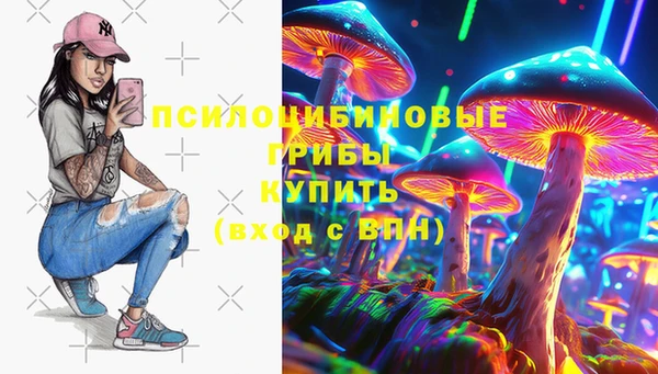 spice Володарск