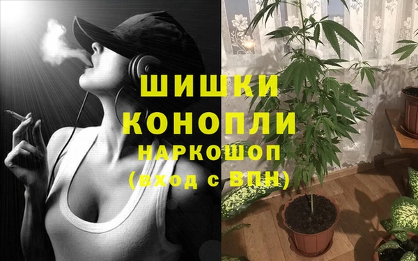 spice Володарск